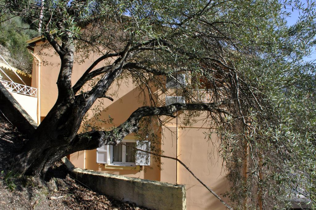 Stella'S Apartments Agios Gordios  Luaran gambar